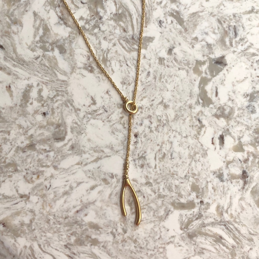 Madewell wishbone necklace